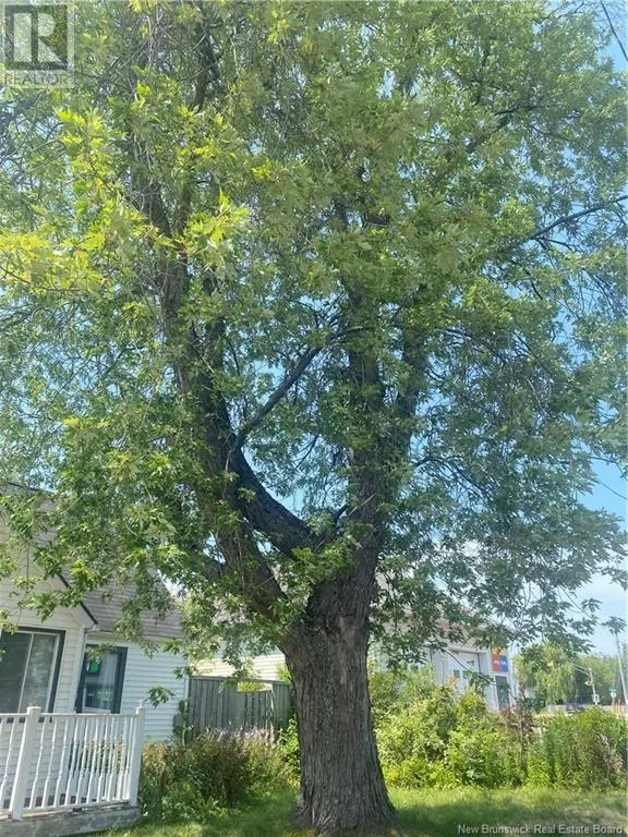 136 Shirley Avenue