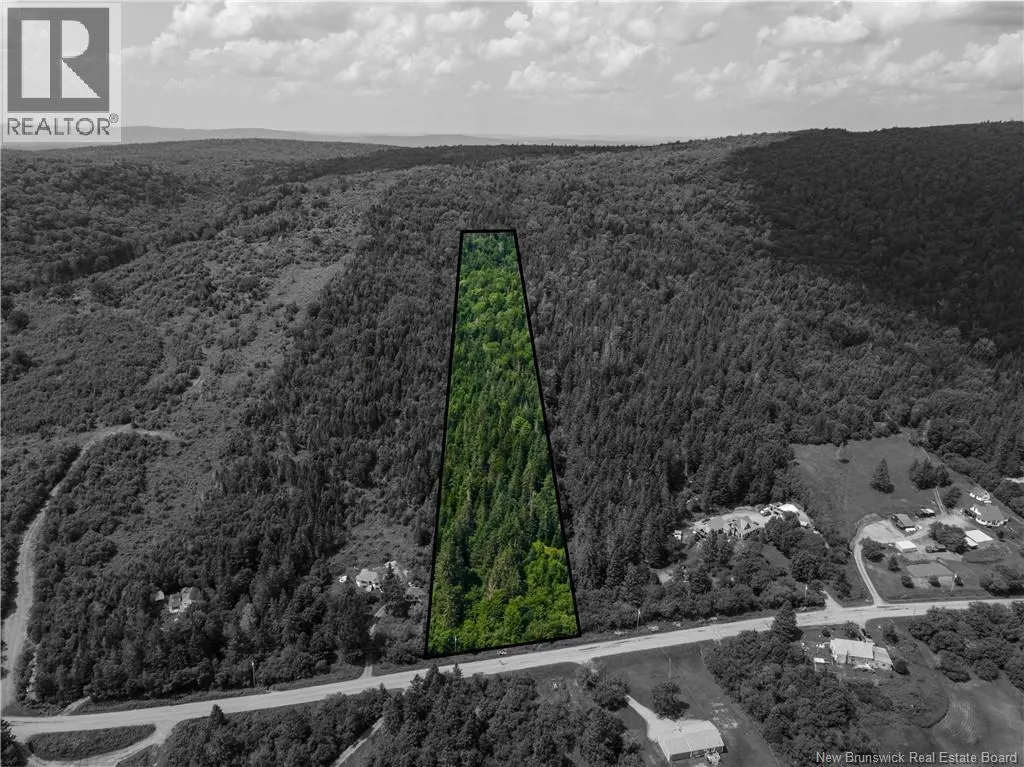 Lot Route 860 Salt Springs Road