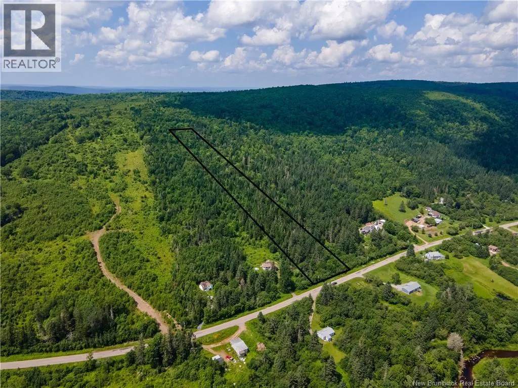 Lot Route 860 Salt Springs Road