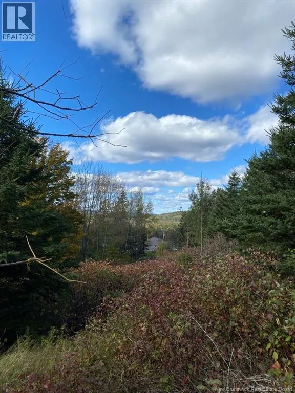 Lot Route 845 Route