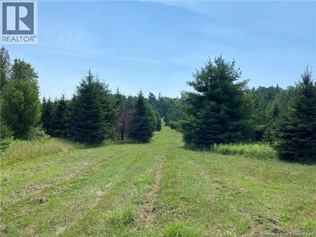 Land Archibald Road