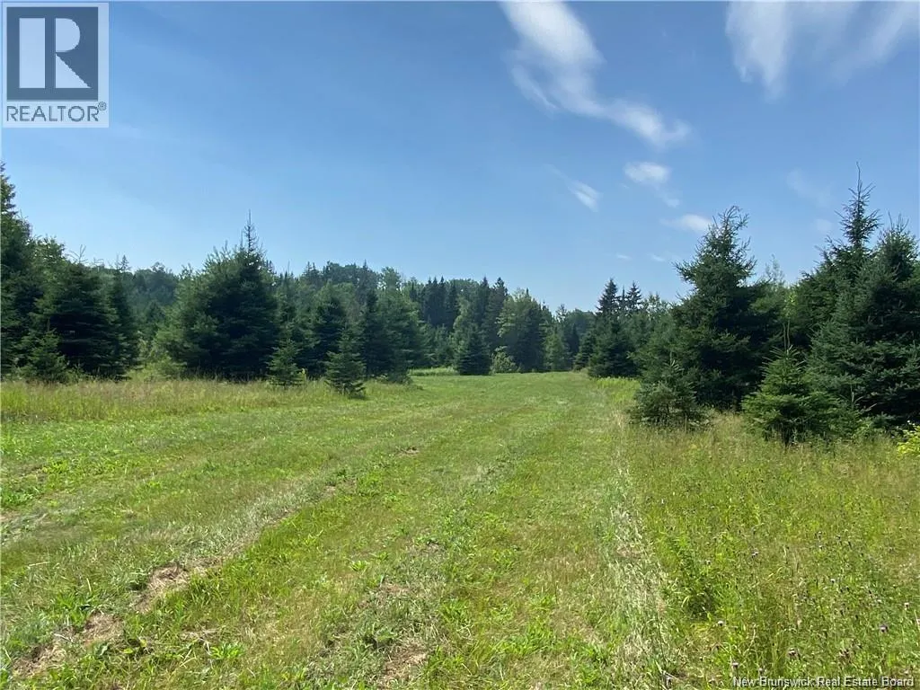 Land Archibald Road
