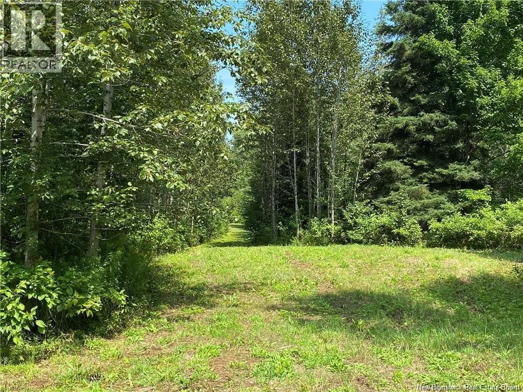 Land Archibald Road
