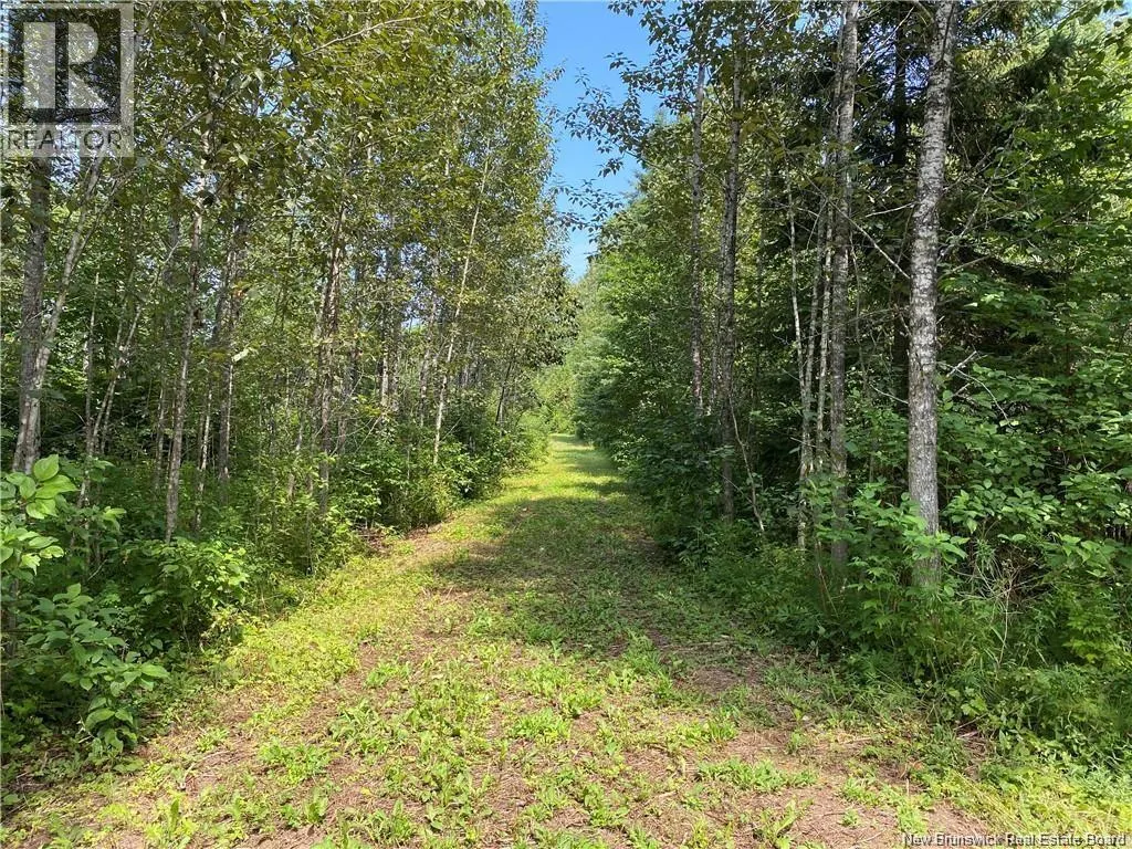 Land Archibald Road
