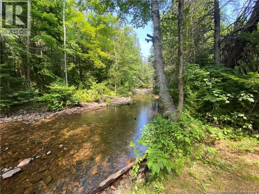 Land Archibald Road