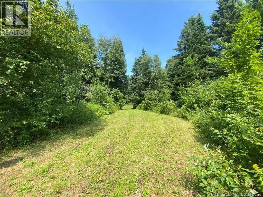 Land Archibald Road