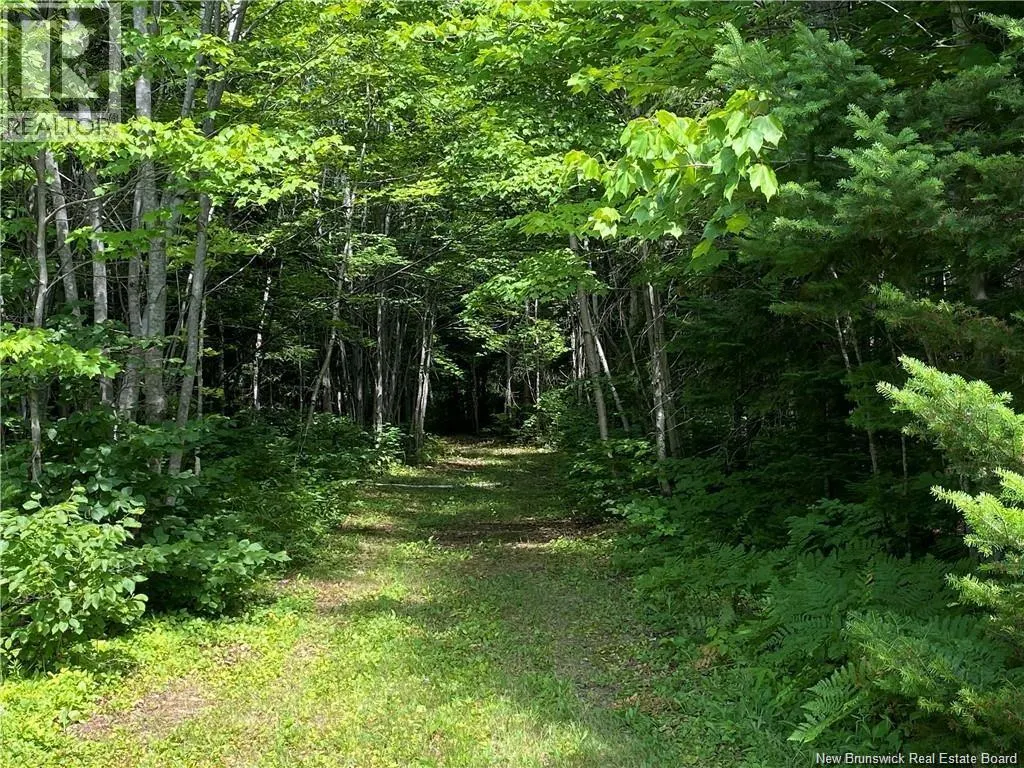 Land Archibald Road