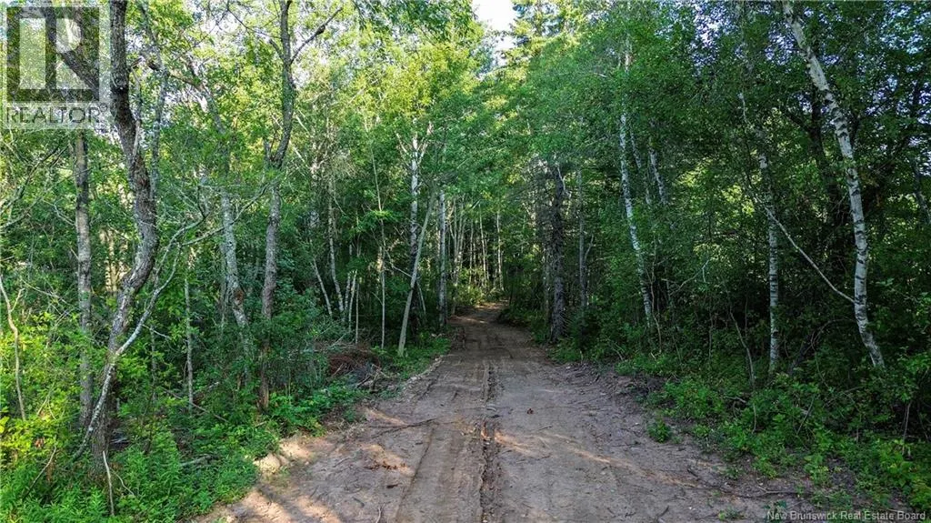 Lot Route 10
