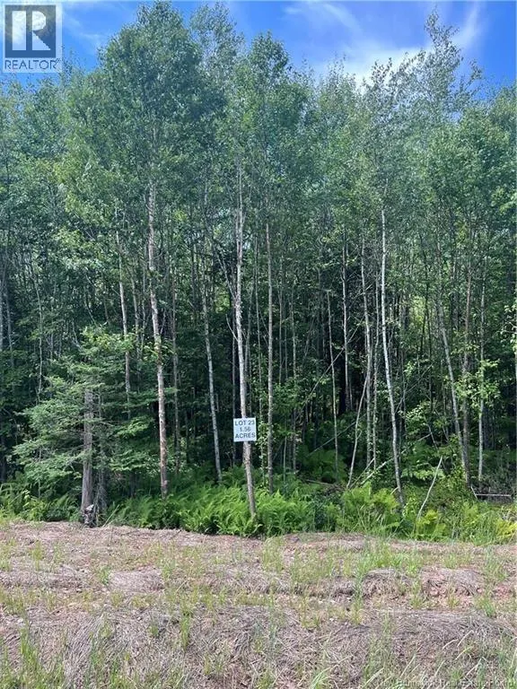 lot Cedarwood Drive