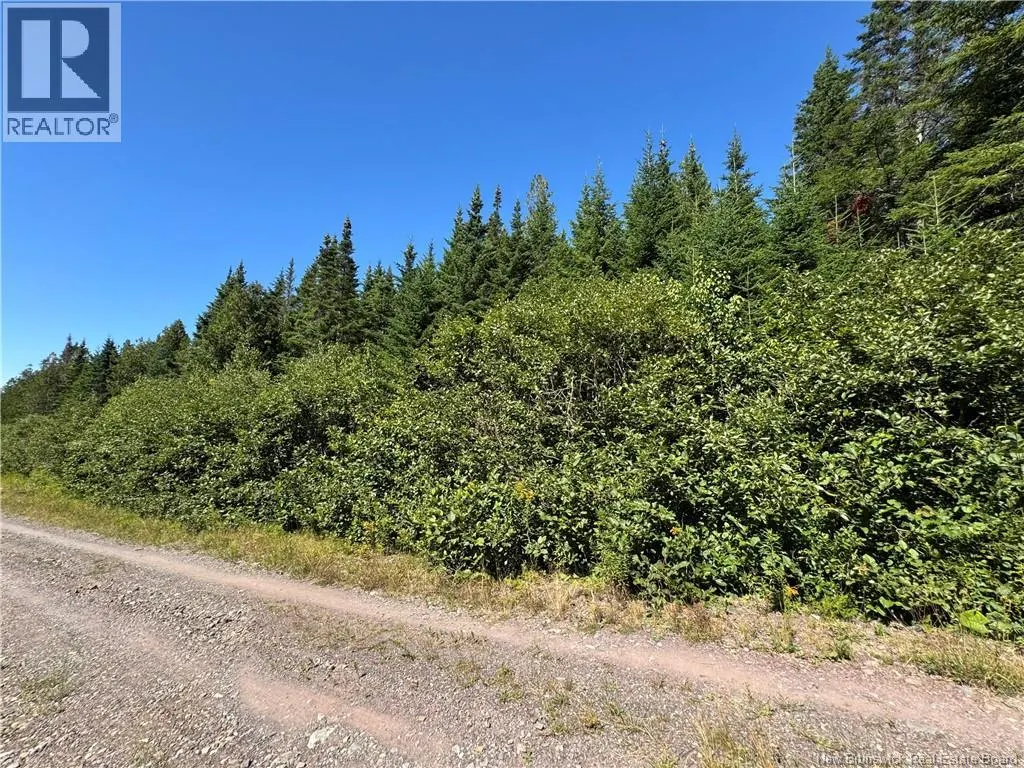 Clover Valley Road