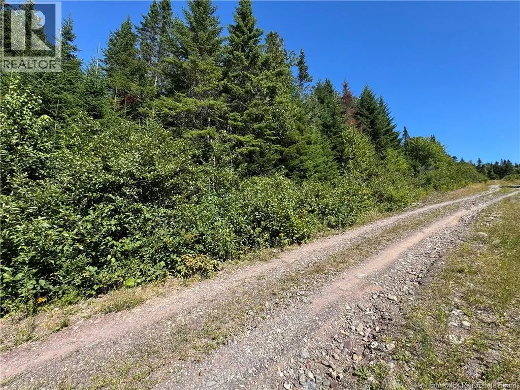 Clover Valley Road