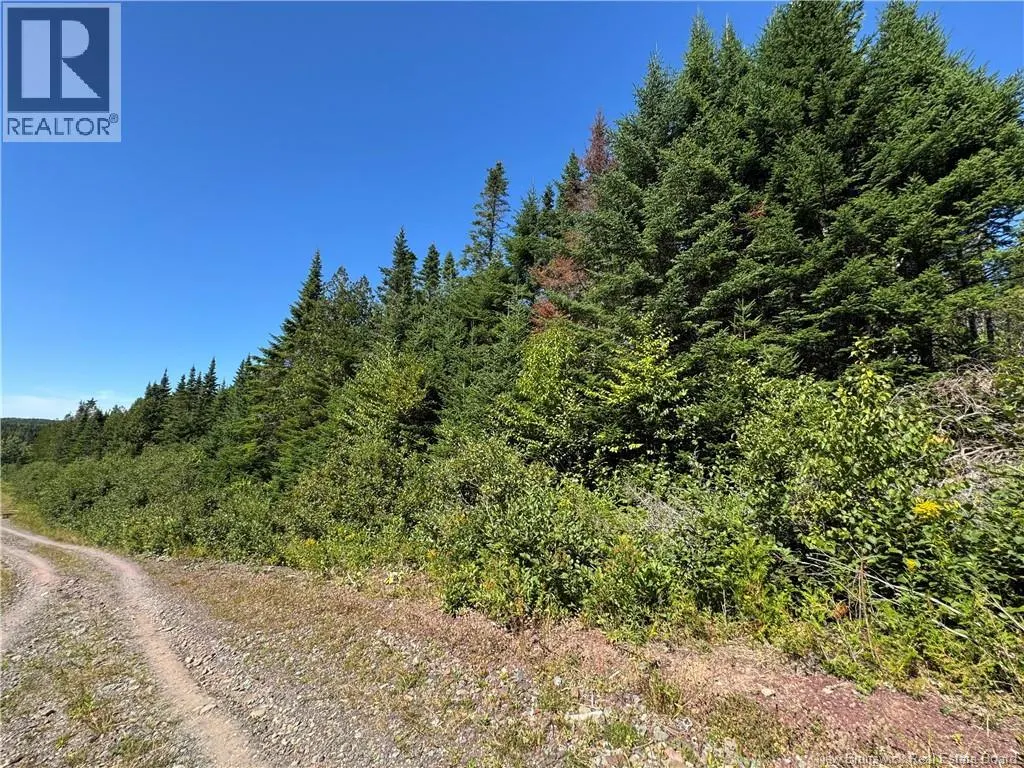 Clover Valley Road