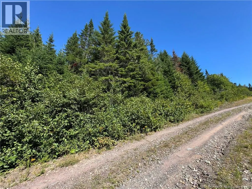 Clover Valley Road