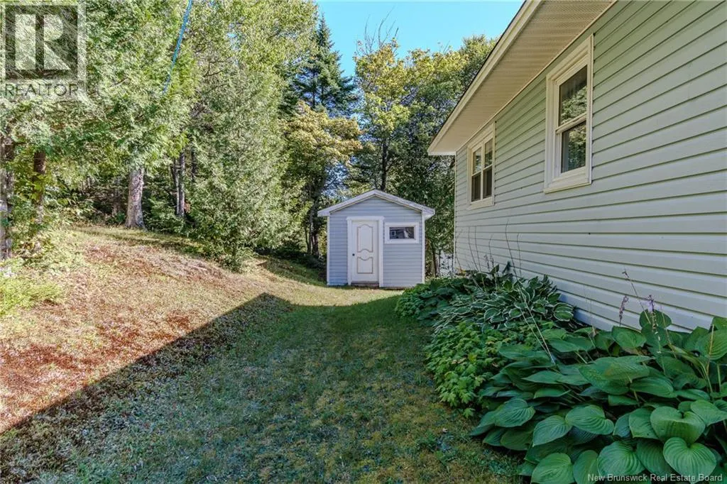 8 Birch Street