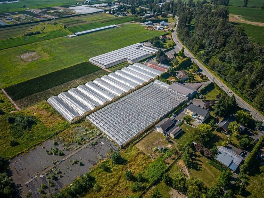 50284 YALE ROAD|Rosedale