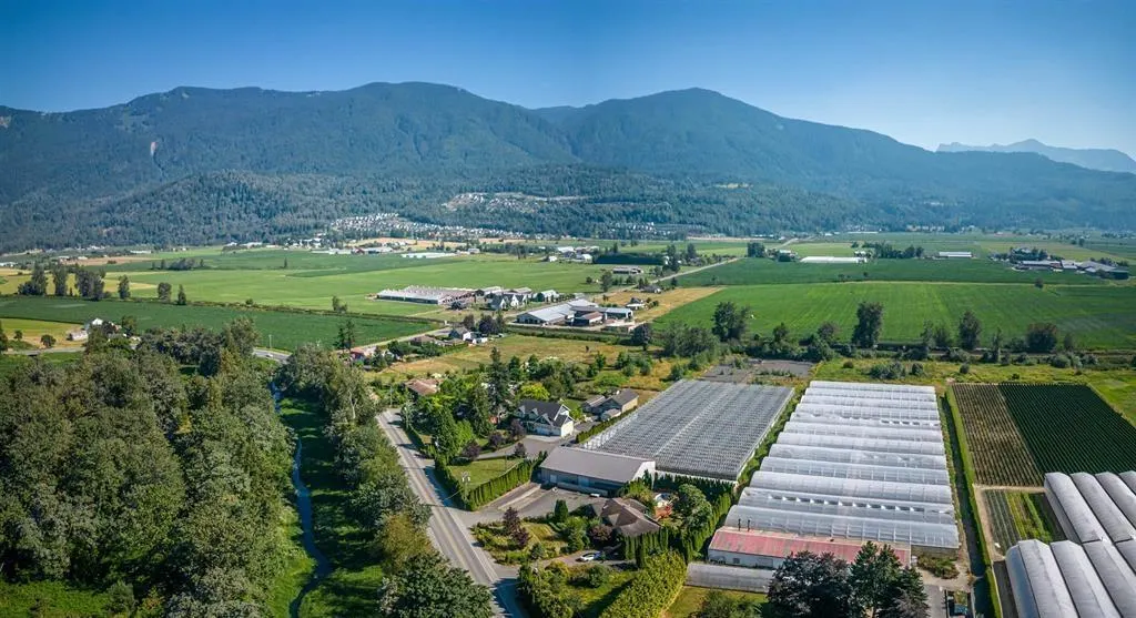 50284 YALE ROAD|Rosedale