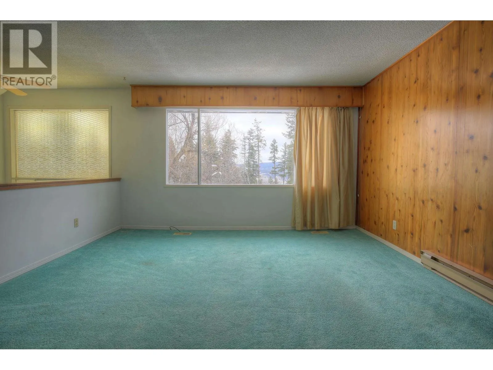 217 MOUNTVIEW DRIVE