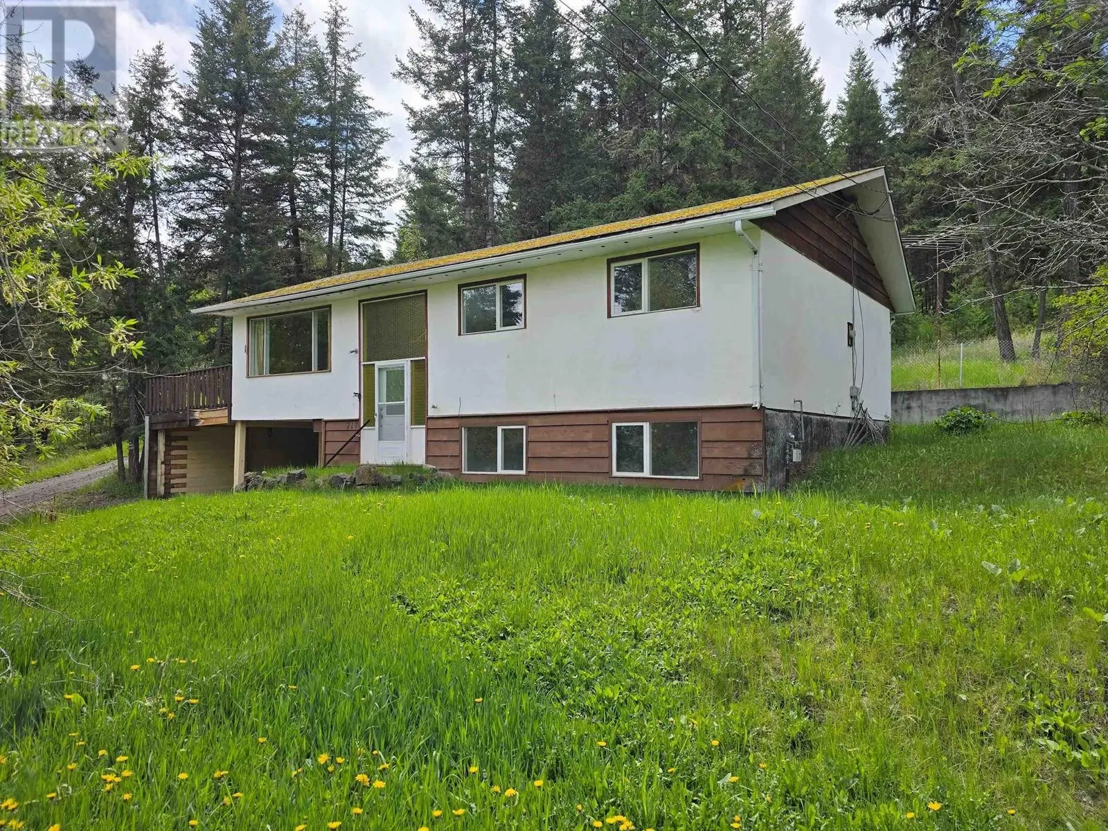 217 MOUNTVIEW DRIVE
