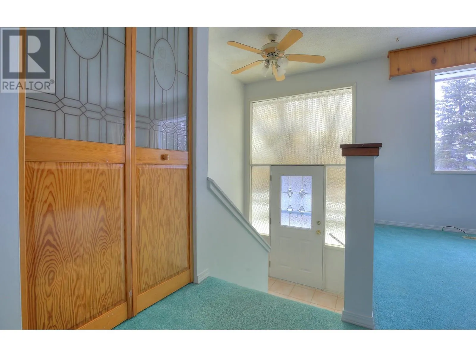 217 MOUNTVIEW DRIVE
