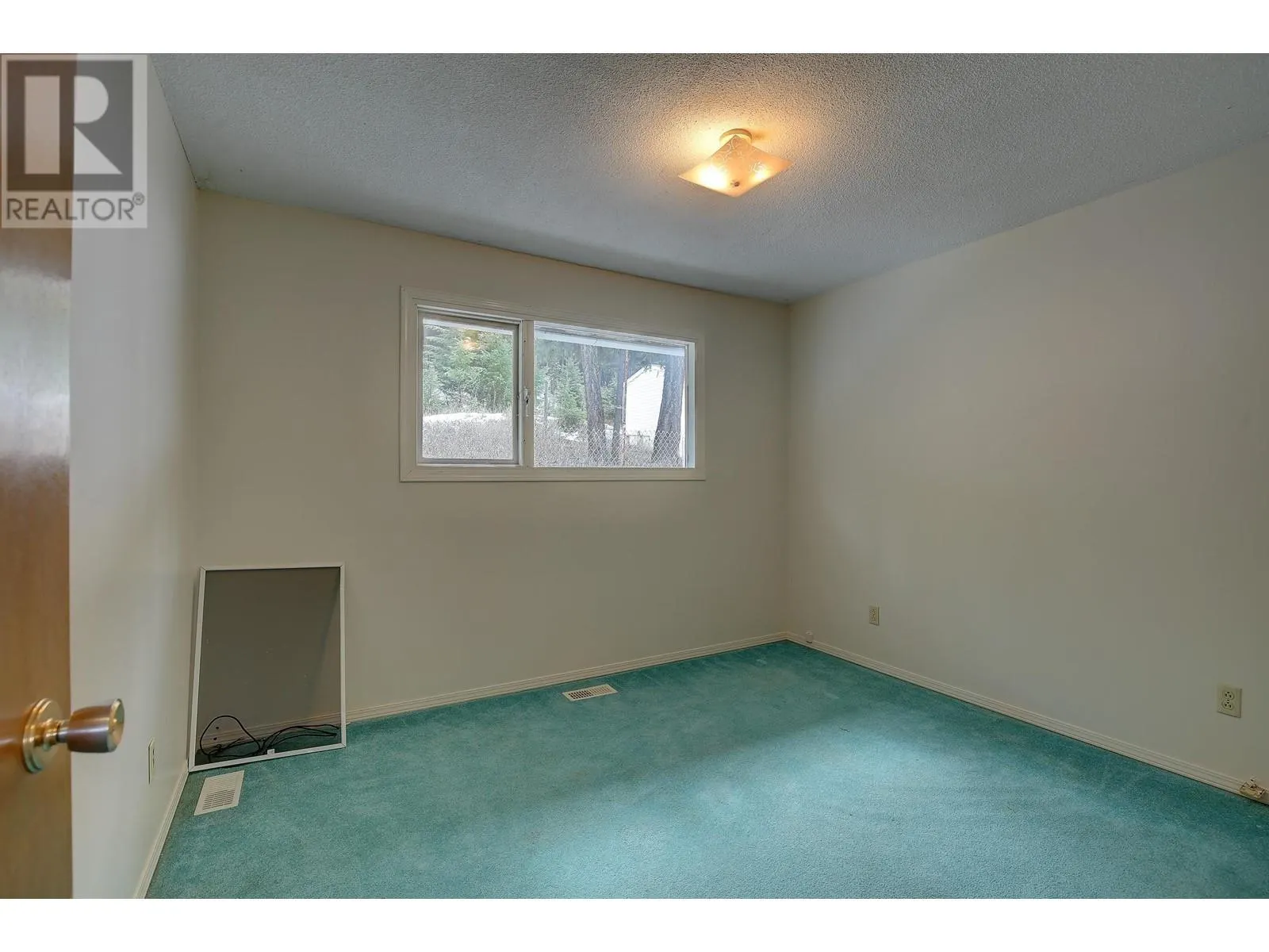 217 MOUNTVIEW DRIVE