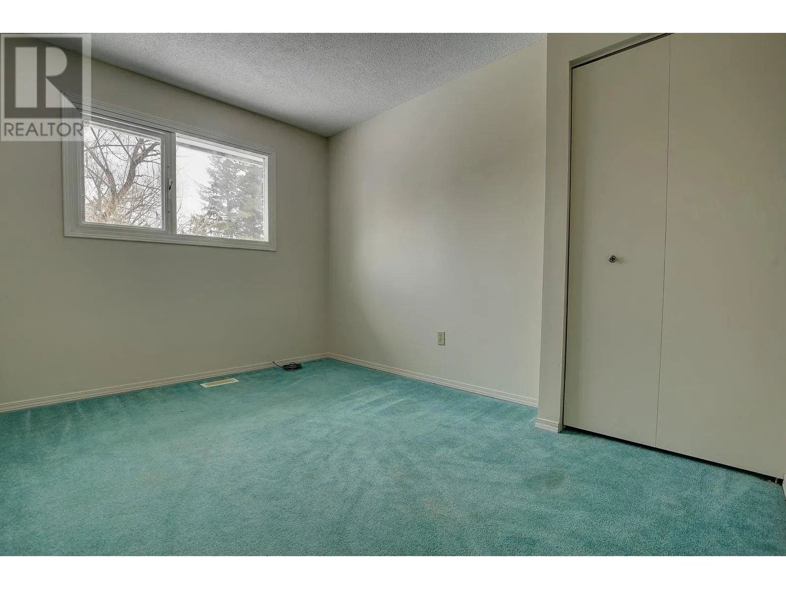 217 MOUNTVIEW DRIVE