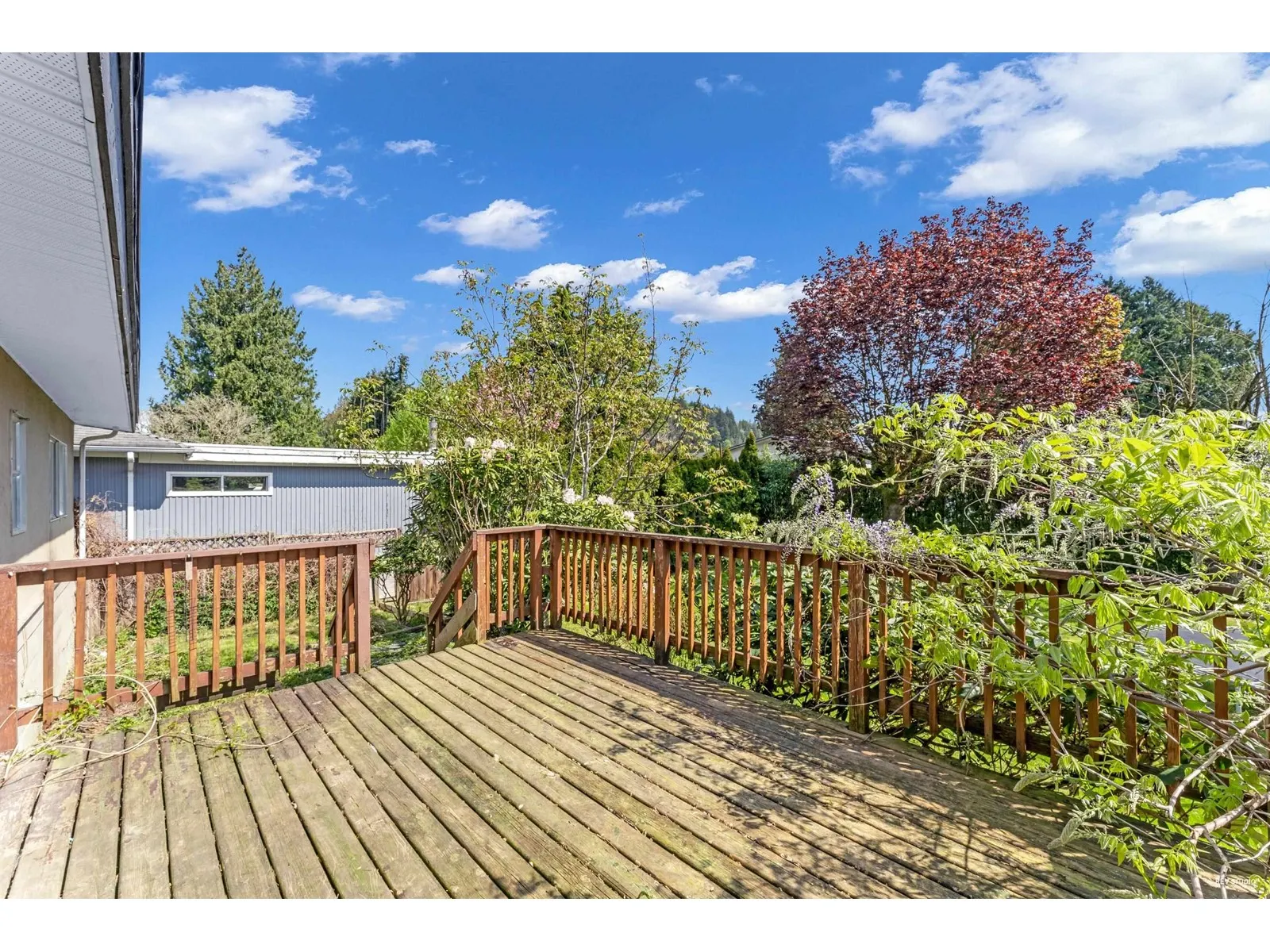 9710 CARLETON STREET|Chilliwack Proper East