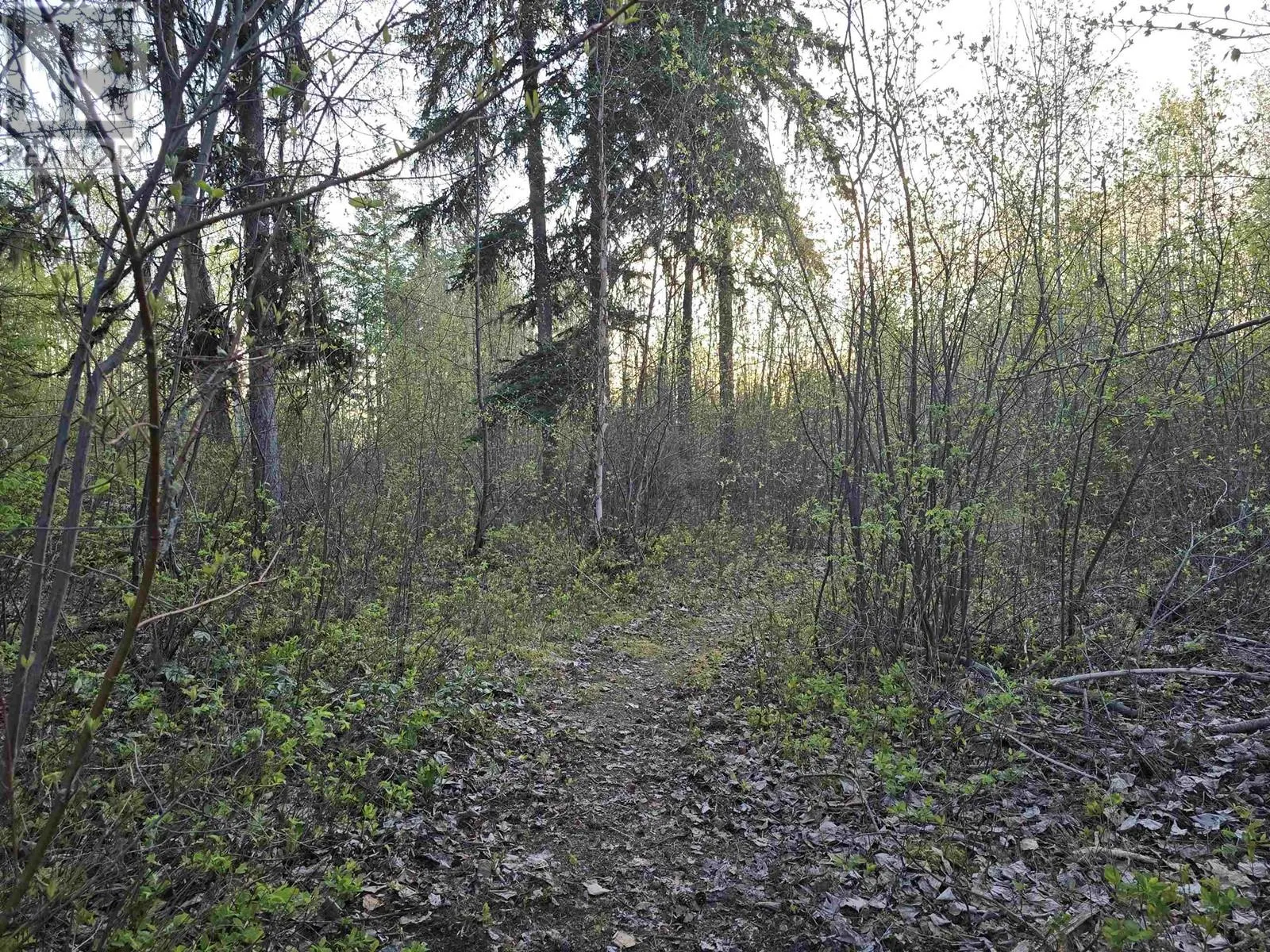 Parcel A FELDSPAR AVENUE