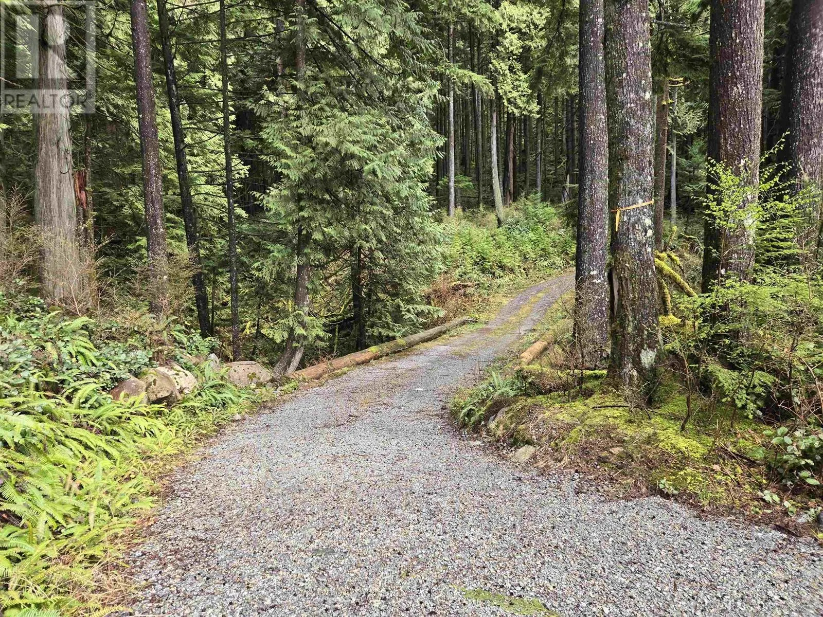 Lot 4 WILLIAMS LANDING
