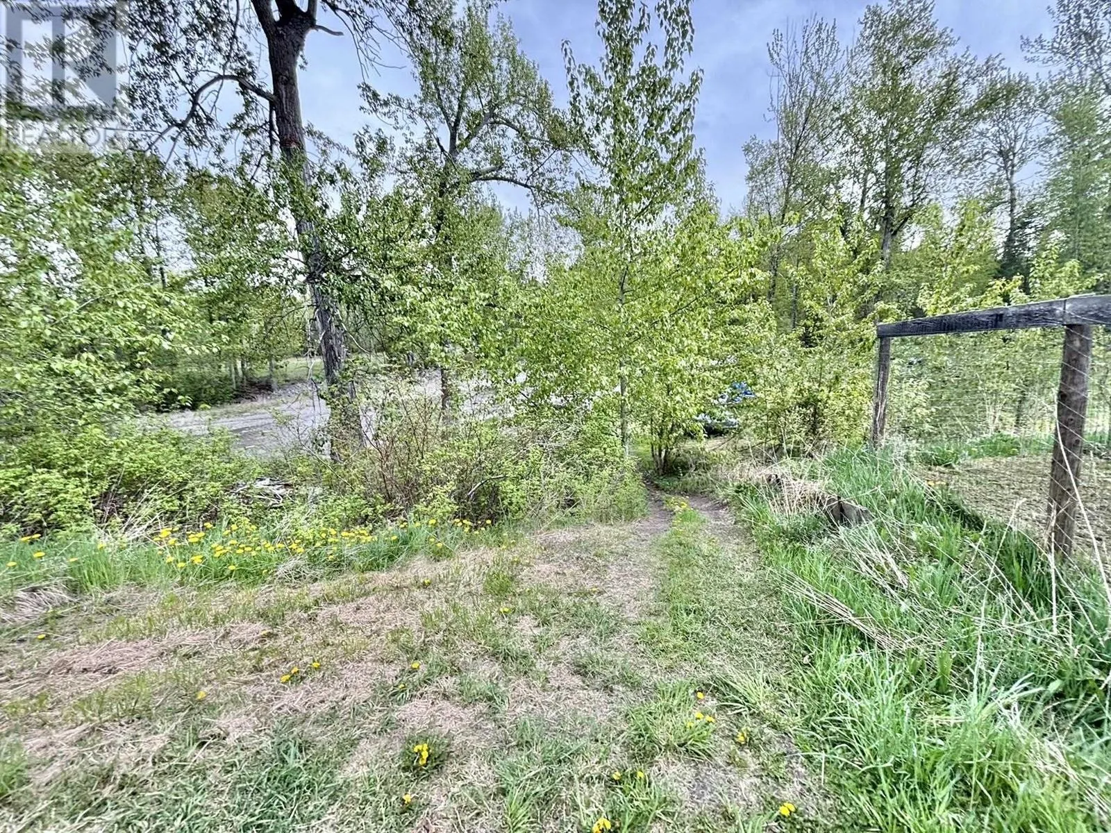 584 LEWIS DRIVE