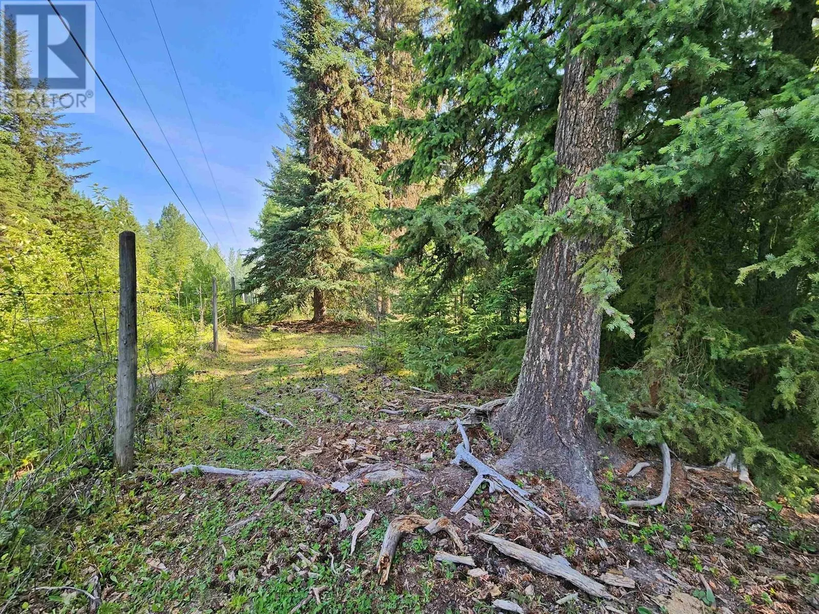 2096 BLACKLOCK ROAD