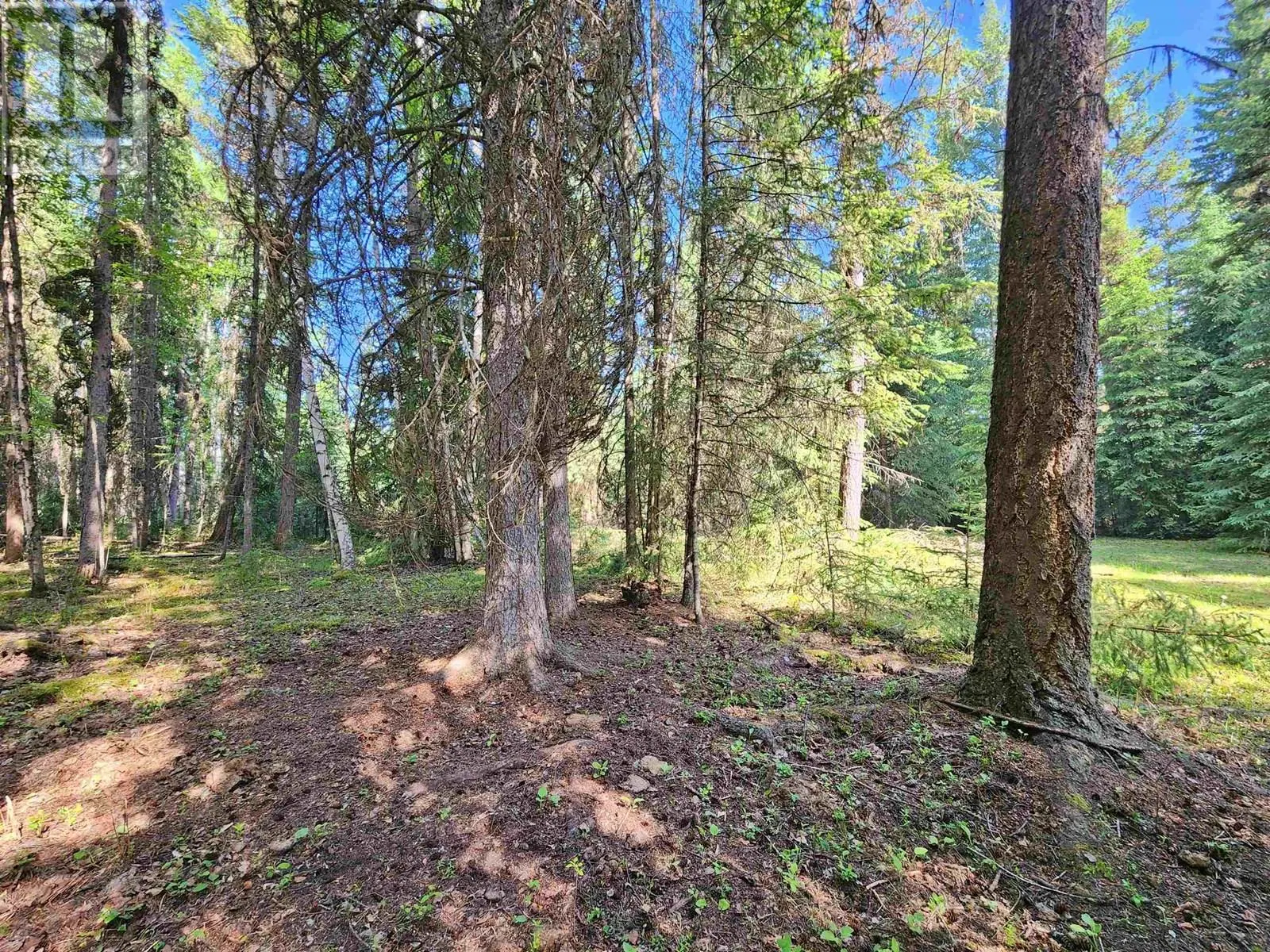 2096 BLACKLOCK ROAD