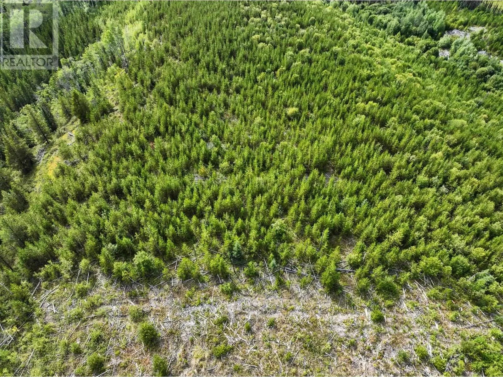 LOT 3 SAXTON LAKE ROAD