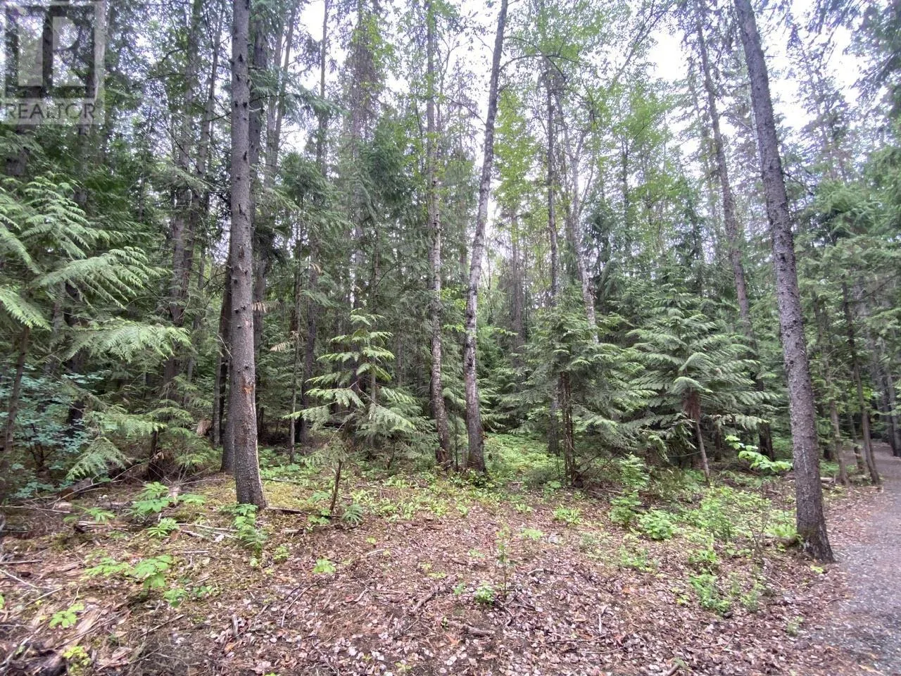 LOT 12 LAURIER STREET