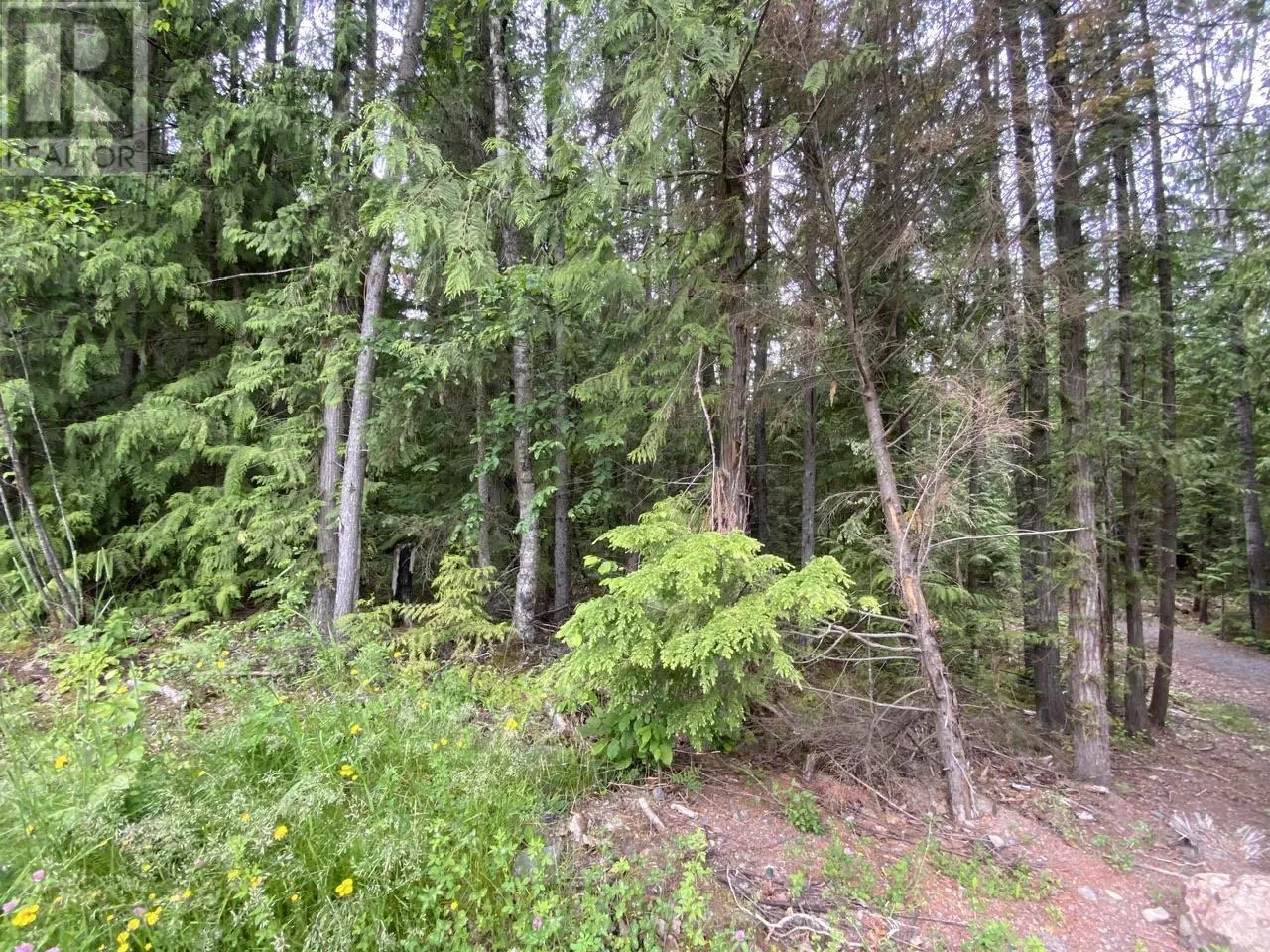 LOT 12 LAURIER STREET