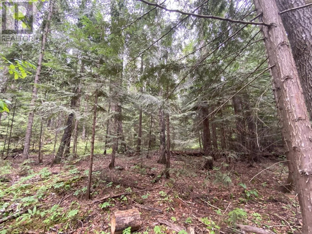 LOT 12 LAURIER STREET