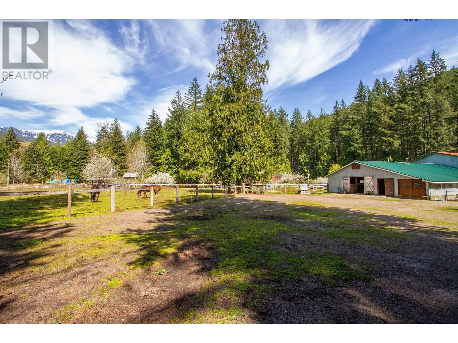8101 PARADISE VALLEY ROAD