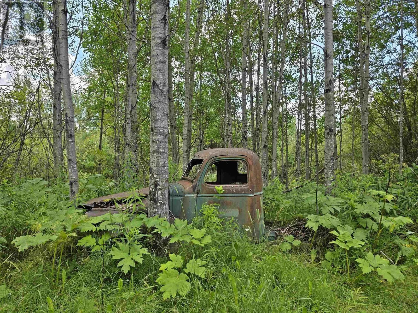 4633-4651 BARKERVILLE HIGHWAY