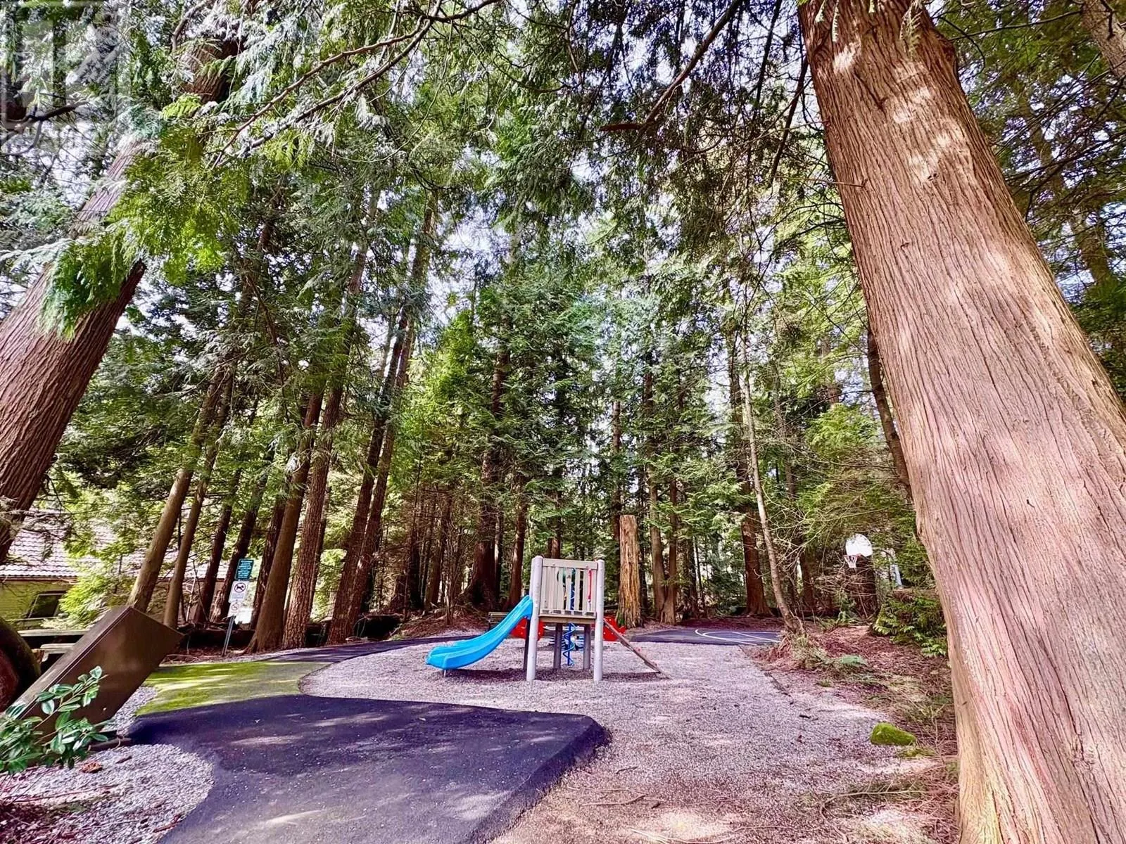 78 65 FOXWOOD DRIVE