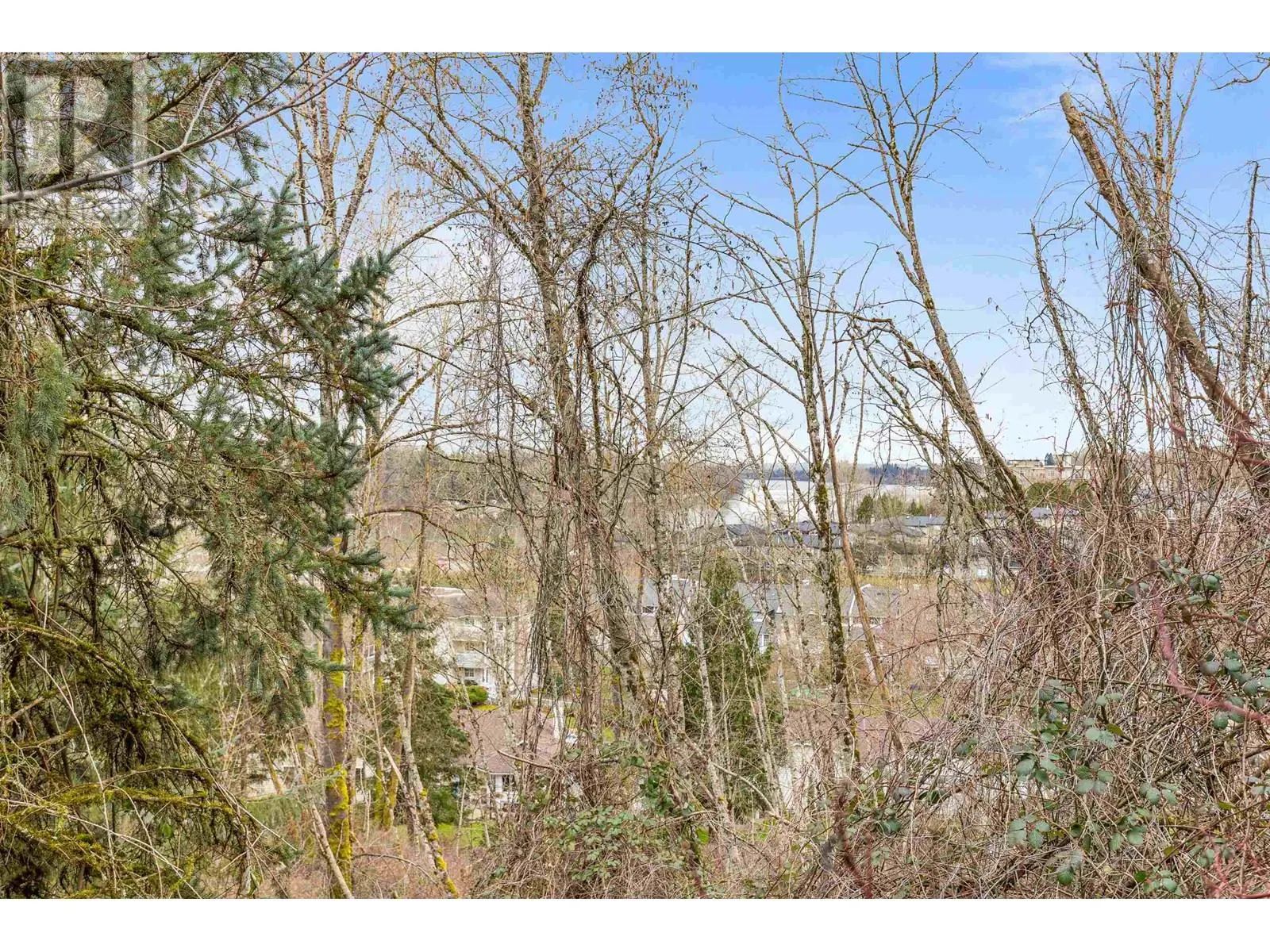 205 11609 227 STREET