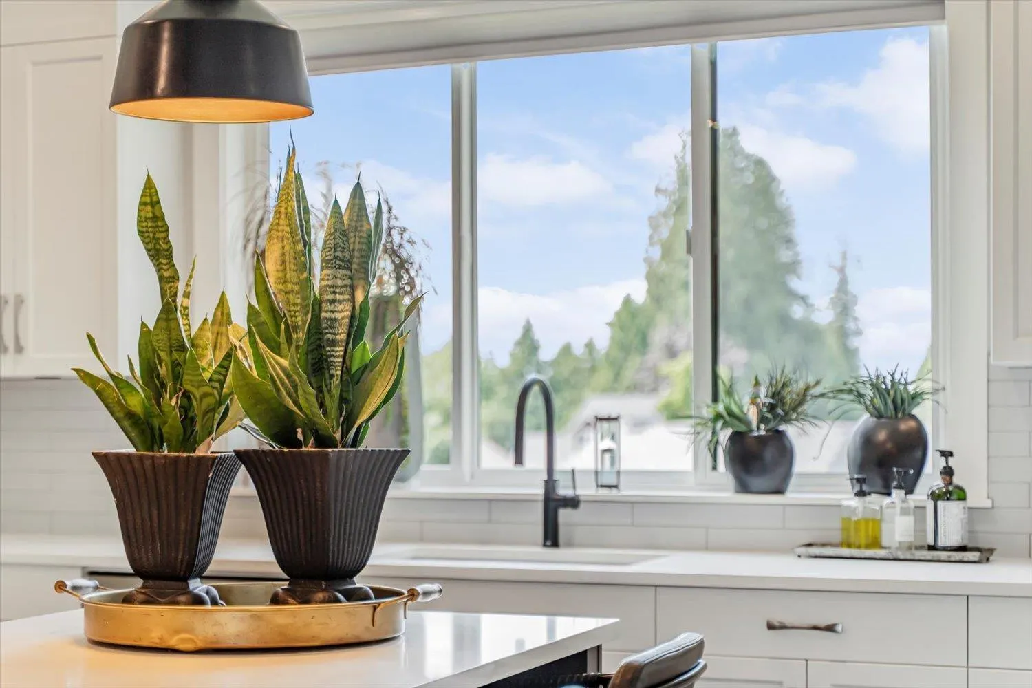 10047 MAGNOLIA PLACE|Rosedale