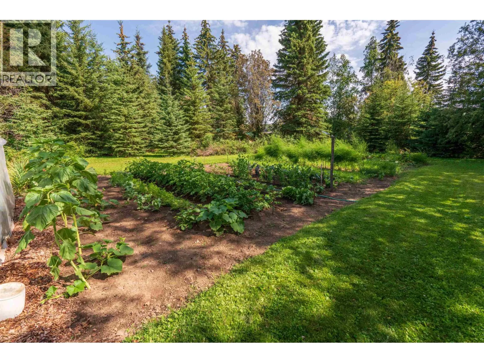41455 CHIEF LAKE ROAD