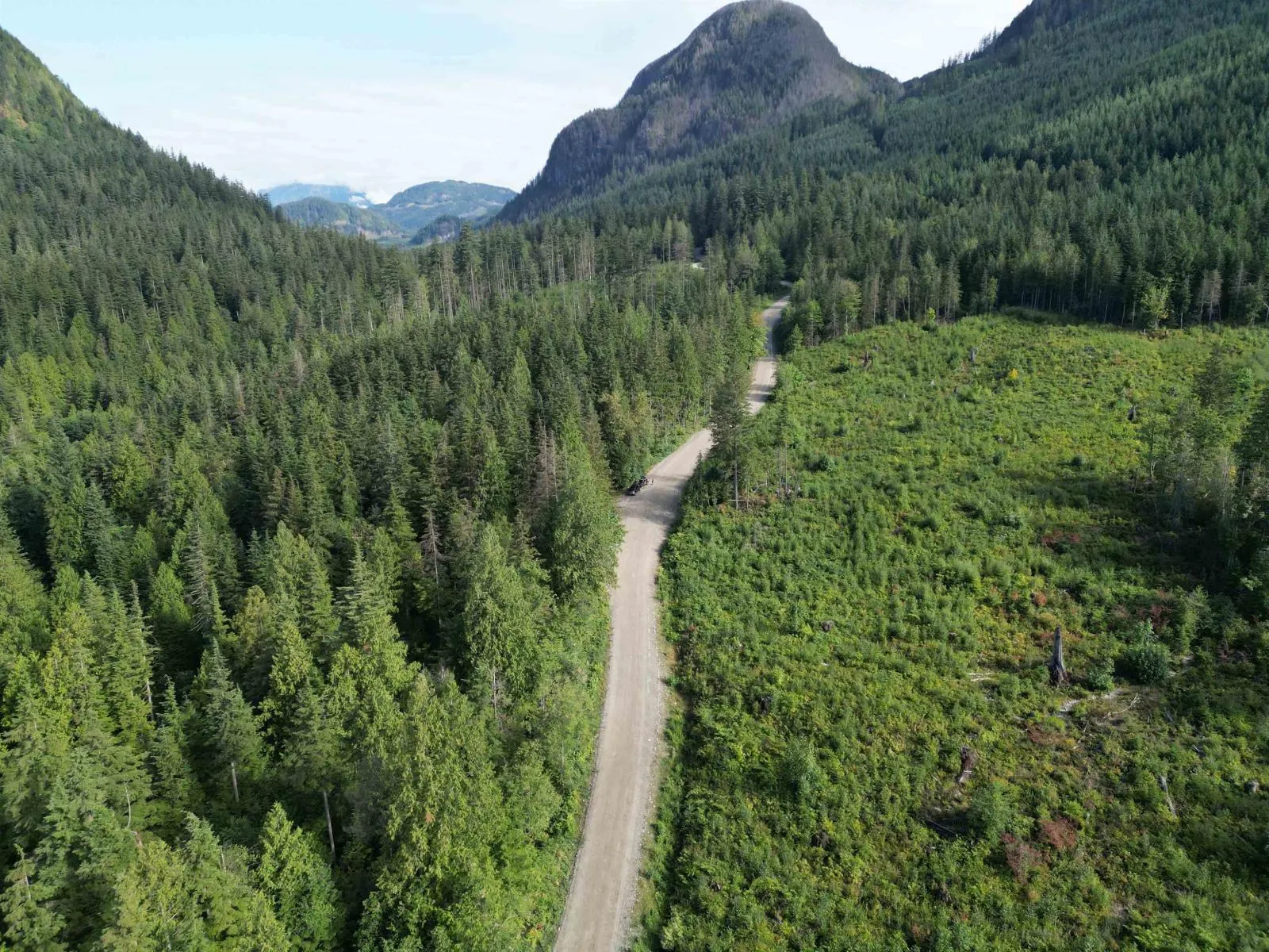 241AC SYLVESTER ROAD