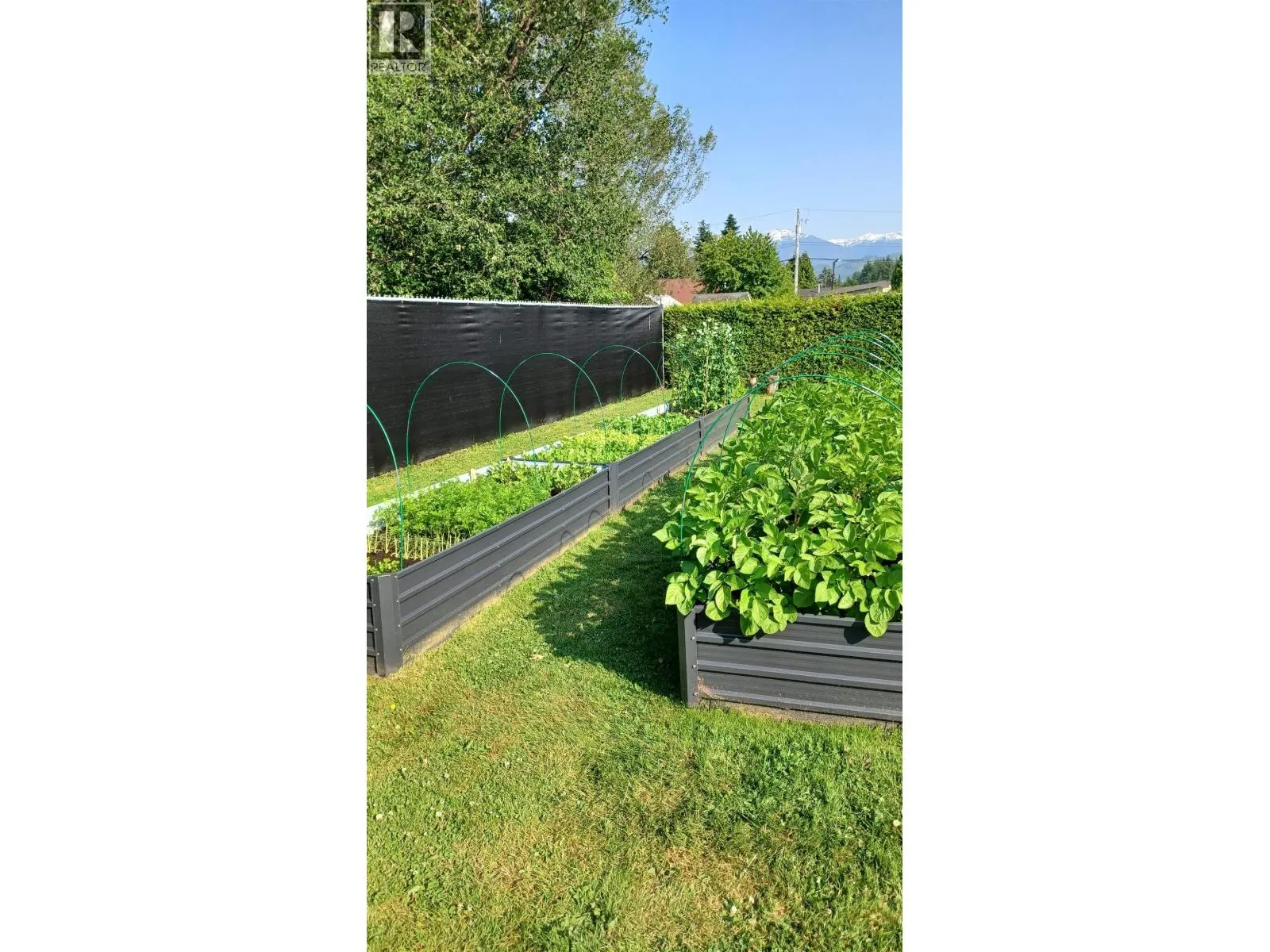 116 SKEENA STREET