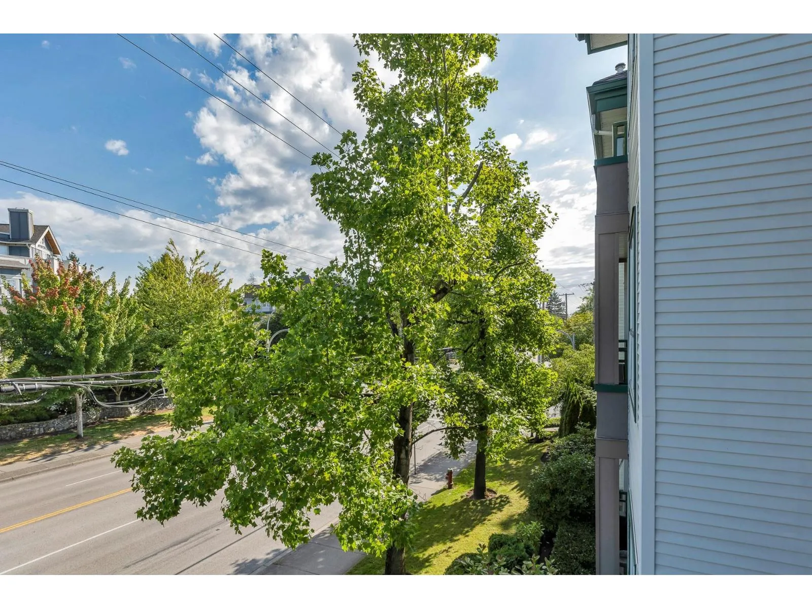 409 1575 BEST STREET