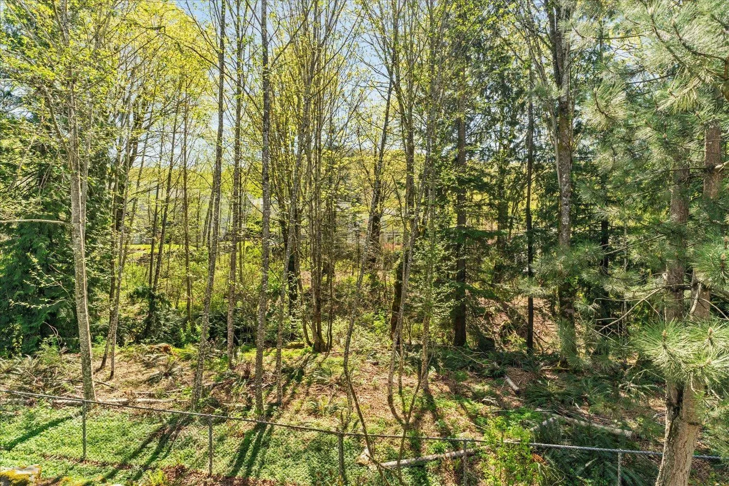 57 36260 MCKEE ROAD
