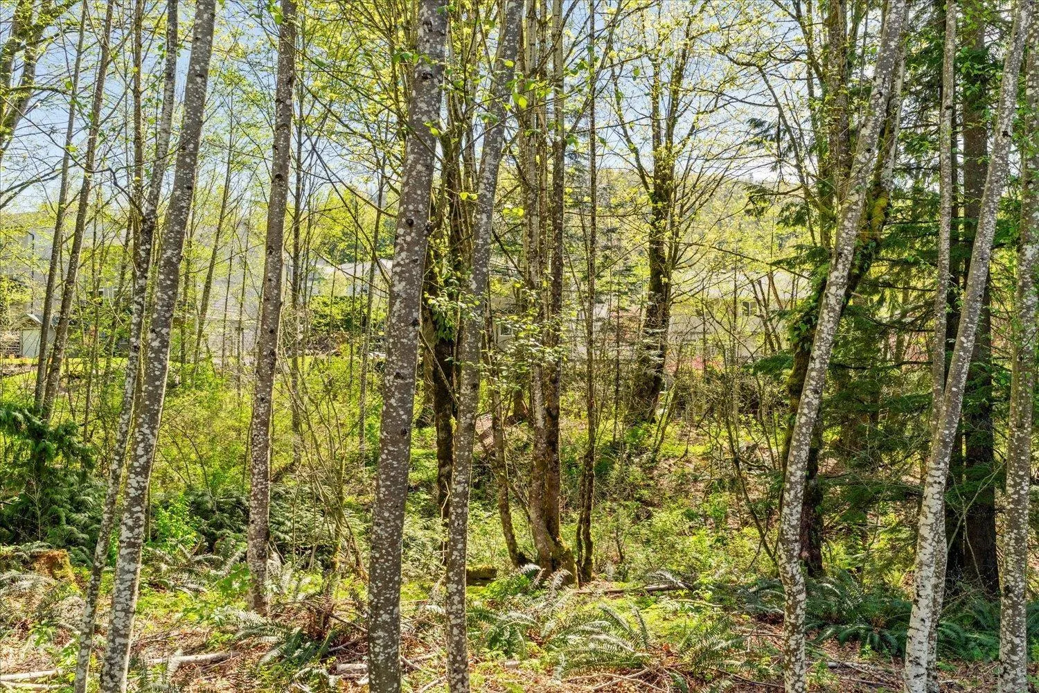 57 36260 MCKEE ROAD