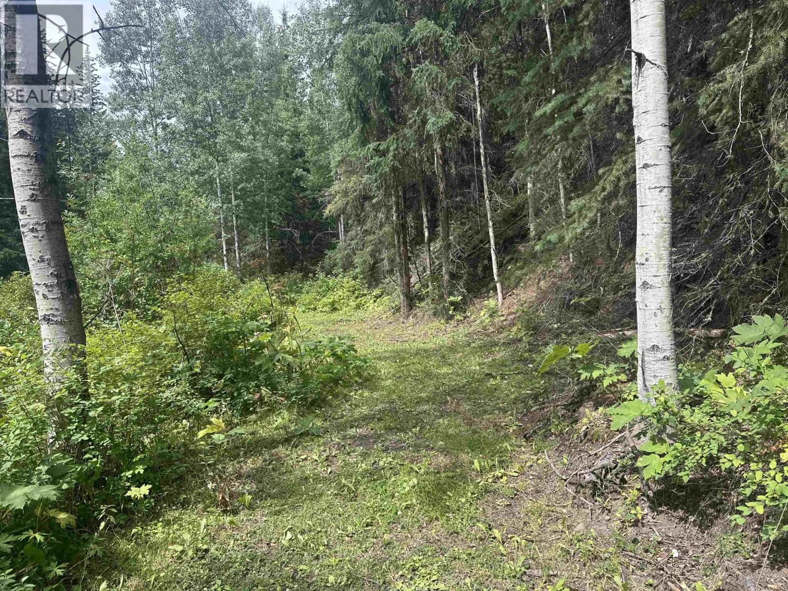 LOT 4 W BIG LAKE ROAD