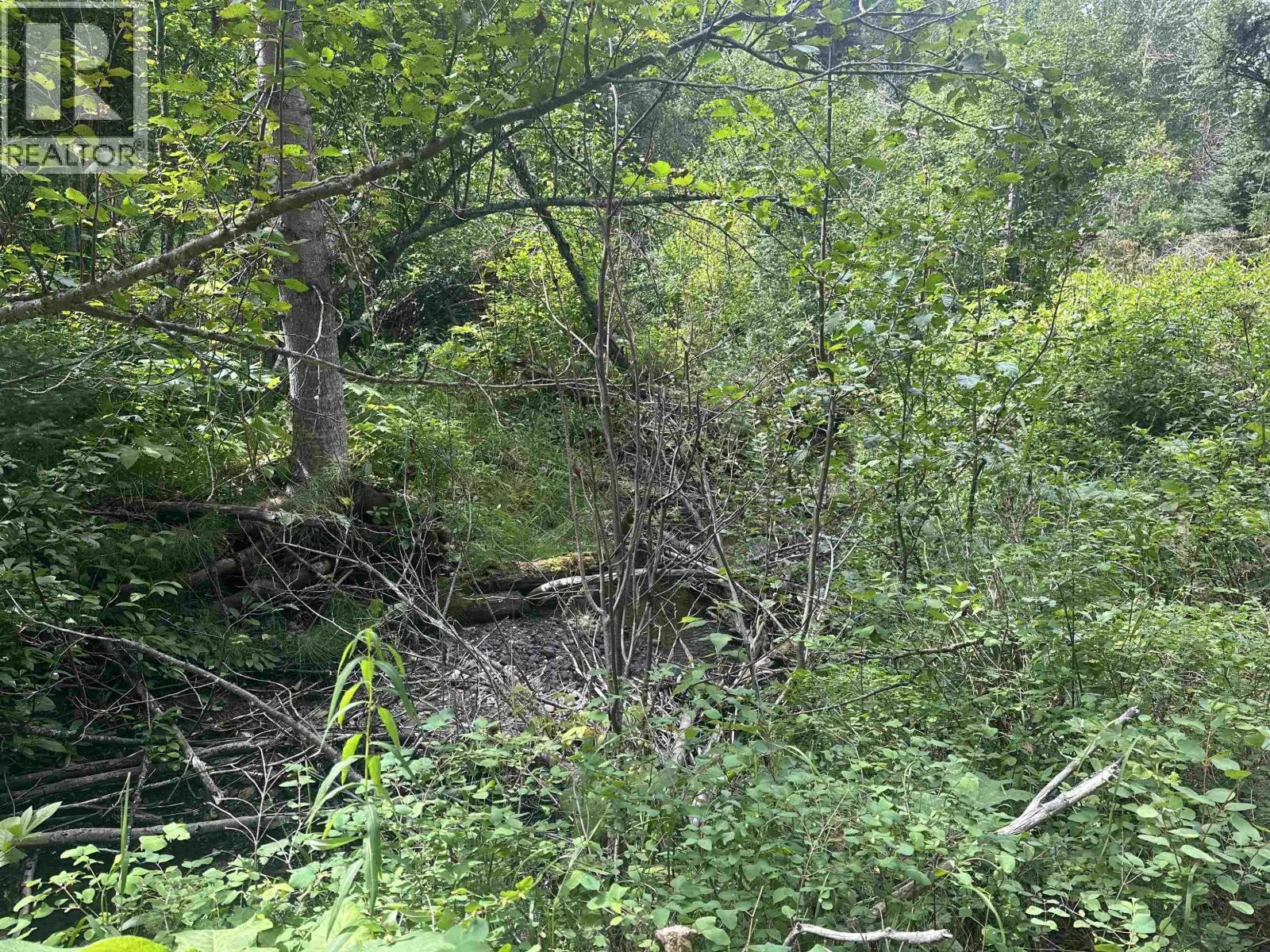 LOT 4 W BIG LAKE ROAD