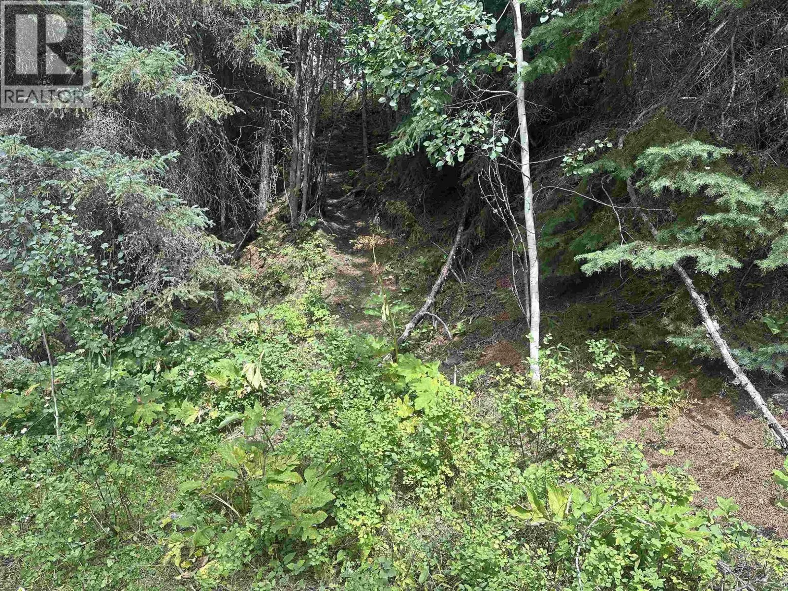LOT 4 W BIG LAKE ROAD