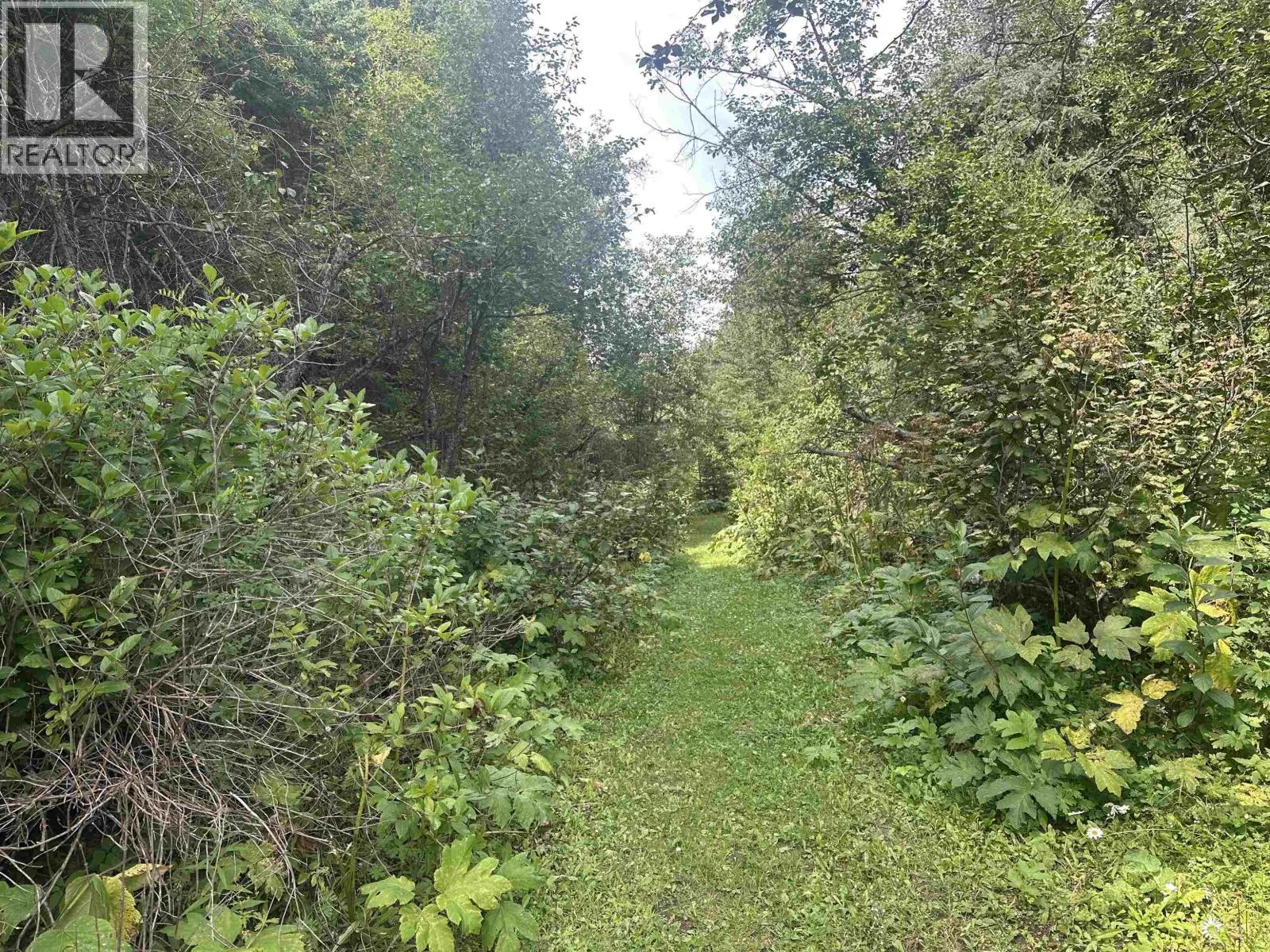 LOT 4 W BIG LAKE ROAD